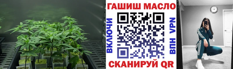 Купить закладки Кириллов Дистиллят ТГК концентрат