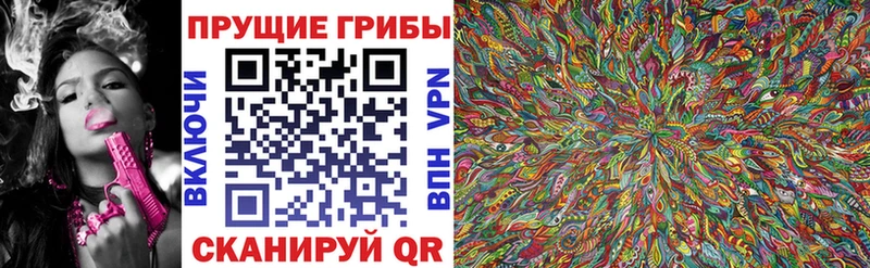 Галлюциногенные грибы Cubensis Кириллов